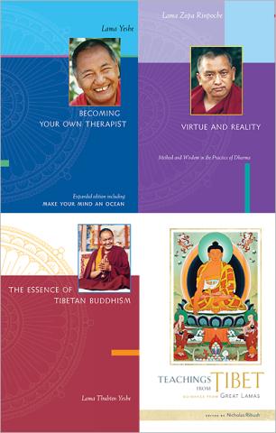 Picture of the 4 book covers of the titles included in the LYWA Starter Pack.