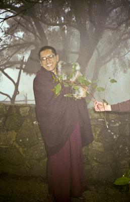 Rinpoche with koala, 1983