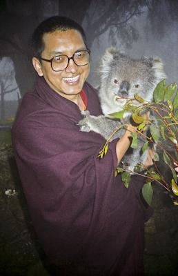 Rinpoche with koala, 1983