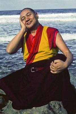 Lama at the Ocean, 1983