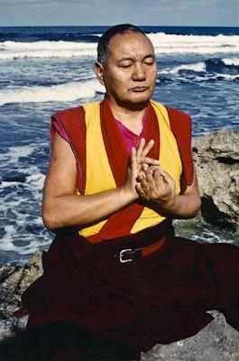 Lama at the Ocean, 1983