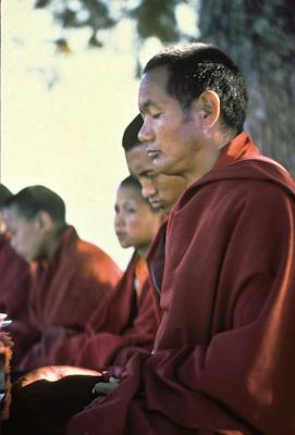 Lama and Rinpoche meditating with MEC students, 1974
