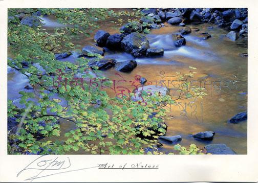 Card with mantra calligraphy by Lam Zopa Rinpoche.