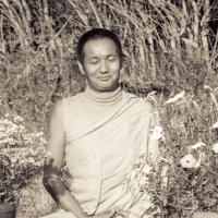 Portrait of Lama Yeshe, 1971