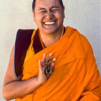 Portraits of Lama, 1977