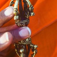 Portraits of Lama, 1977