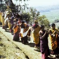 Tara statue procession, 1976