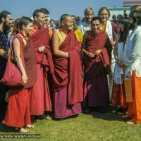 Lamas Arriving in Maroochydore, 1974