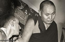 Lama and Nick, Kensington Town Hall, 1975