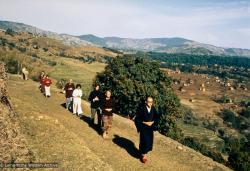 Zengo leading walking meditation, 1971